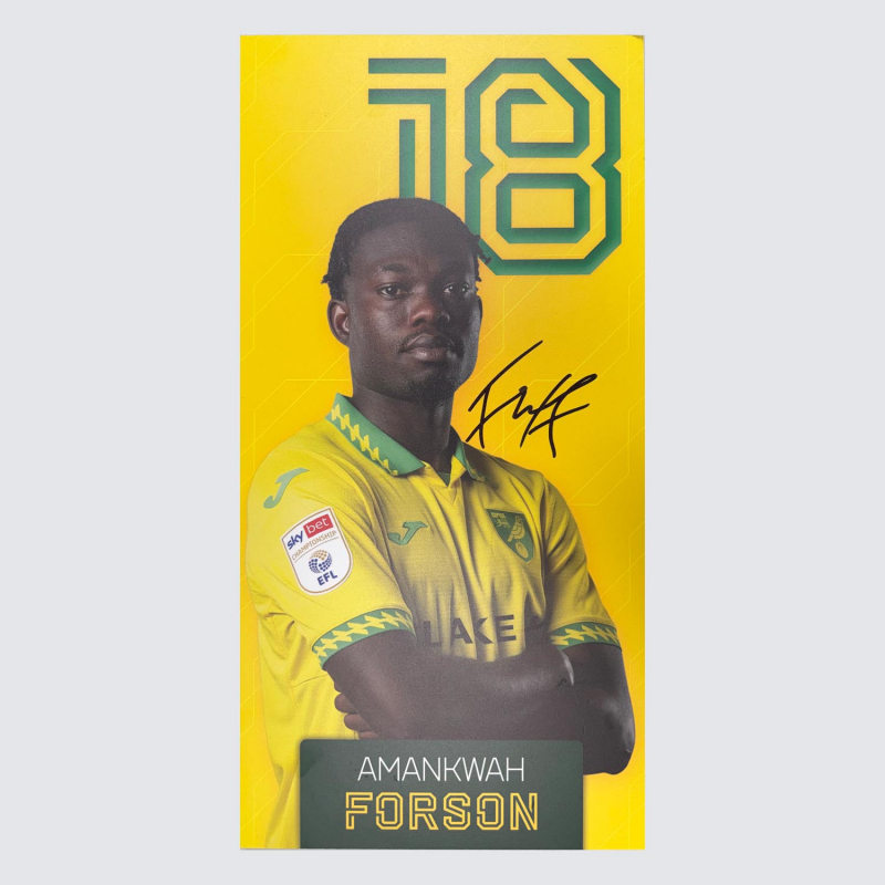Replica Home Kit Away Board 25-26 - Forson