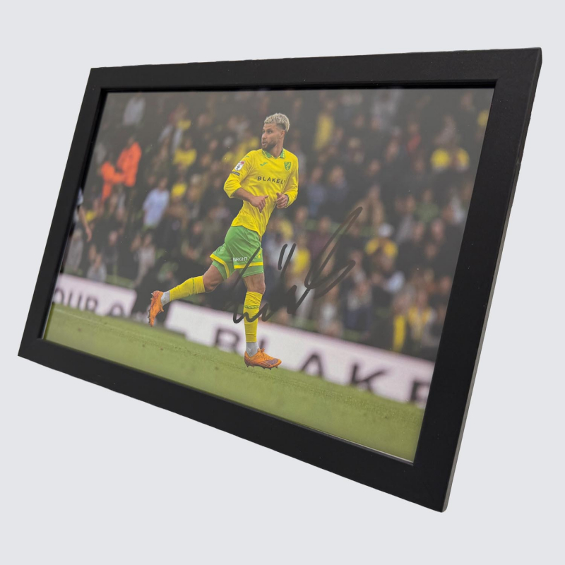 Framed Photo - Emiliano Marcondes