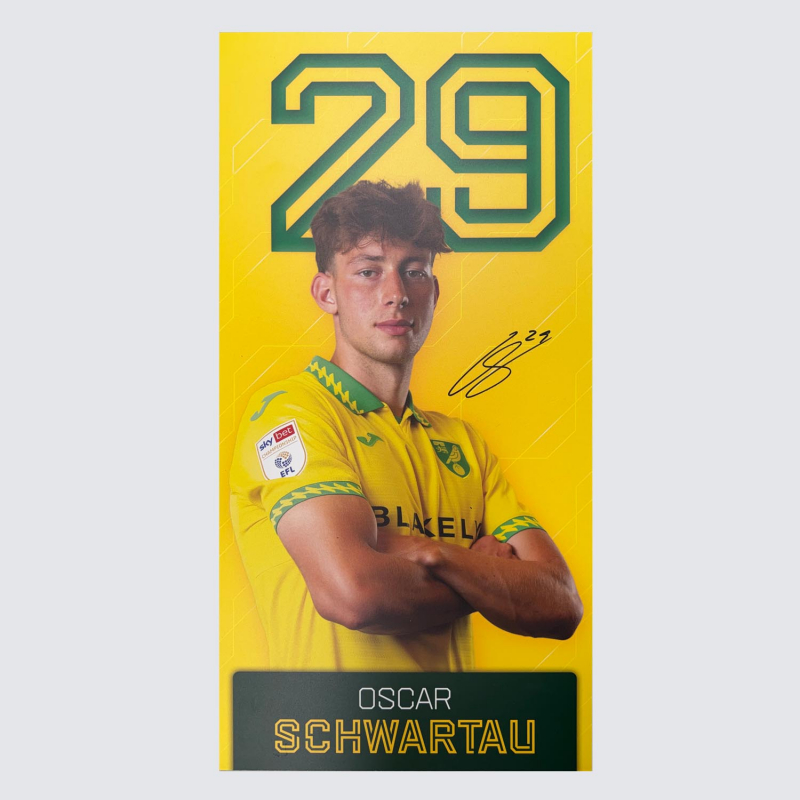 Replica Home Kit Away Board 25-26 - Schwartau