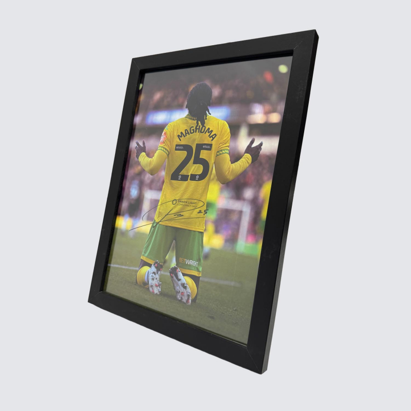 Framed Photo - Paris Maghoma