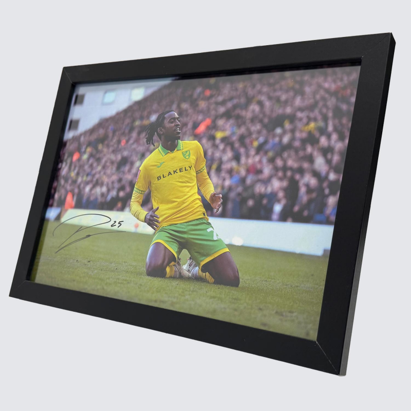 Framed Photo - Paris Maghoma