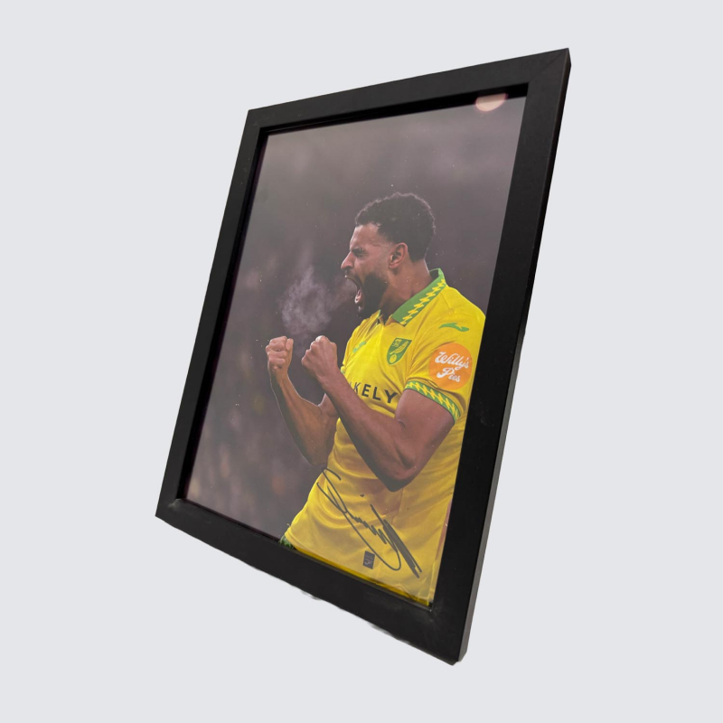 Framed Photo - Anis Ben Slimane